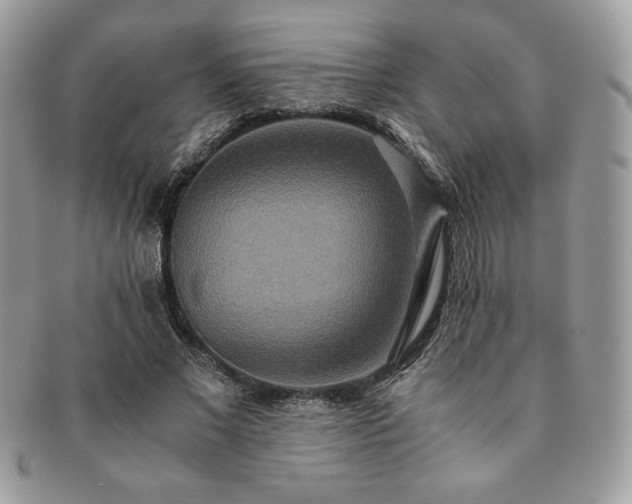 X0000091200685200708161614
