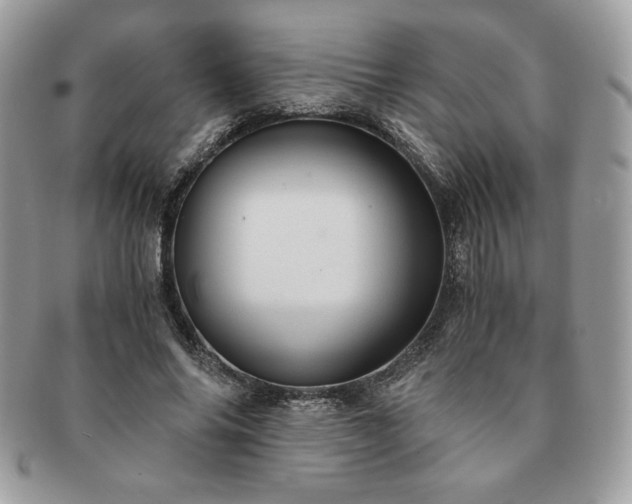 X0000091200686200708161614