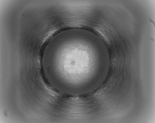 X0000091200688200708161614