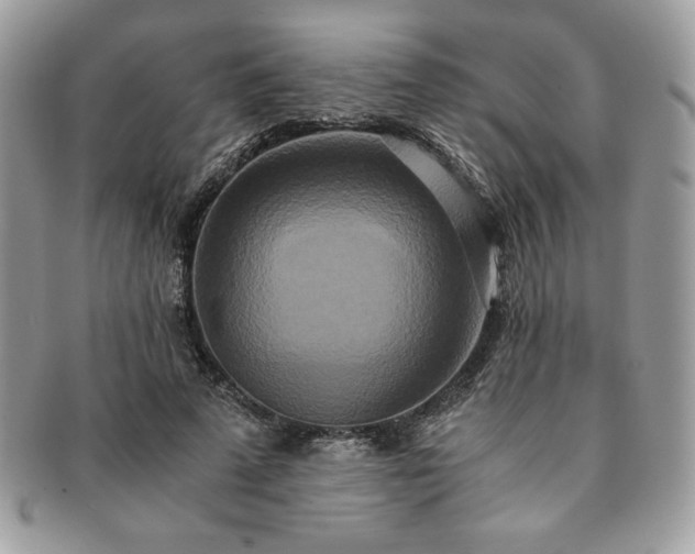 X0000091200689200708161614