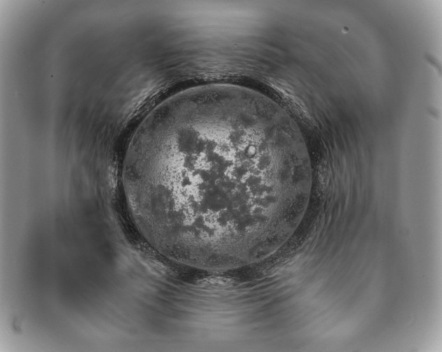 X0000091200691200708161614