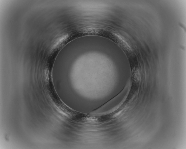 X0000091200692200708161614