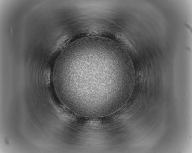 X0000091200694200708161614