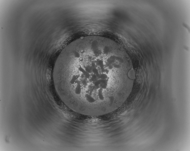 X0000091200695200708161614
