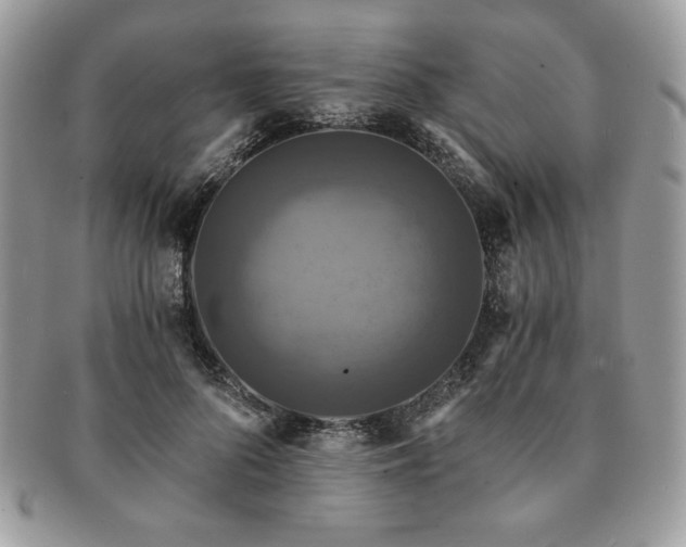 X0000091200696200708161614