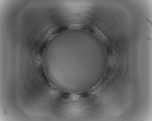 X0000091200701200708161614