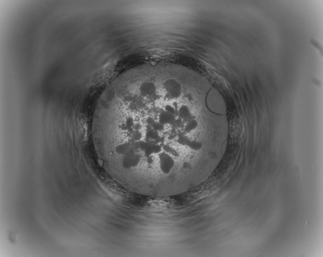 X0000091200703200708161614