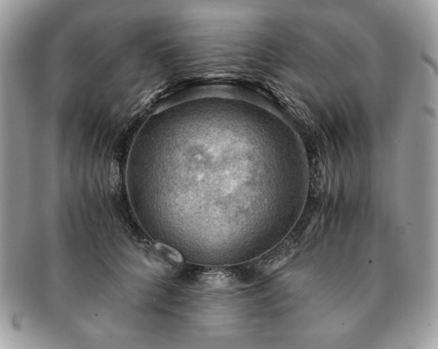 X0000091200704200708161614