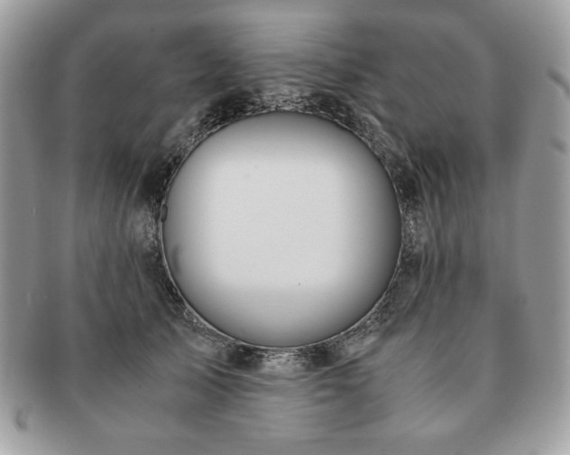 X0000091200705200708161614