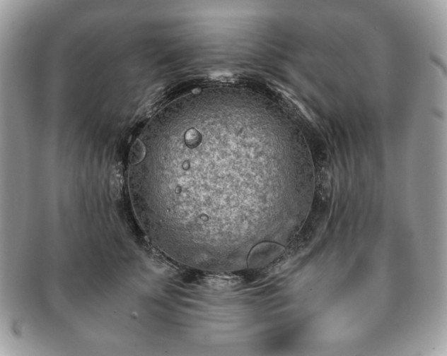X0000091200707200708161614
