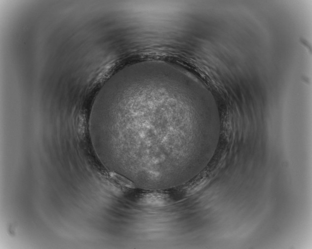 X0000091200708200708161614