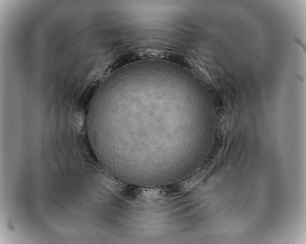 X0000091200709200708161614