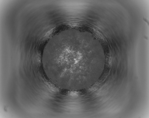 X0000091200710200708161614