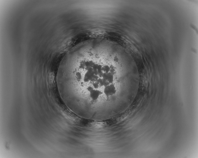 X0000091200711200708161614