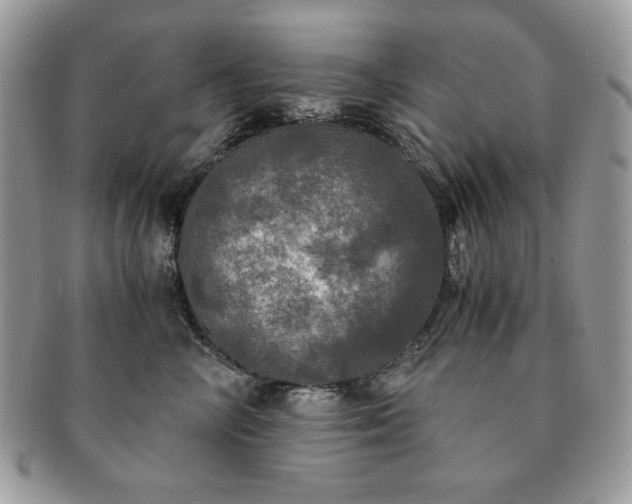 X0000091200714200708161614