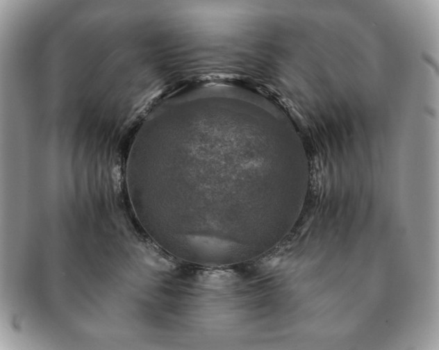 X0000091200716200708161614