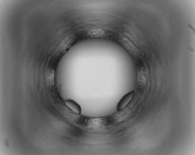 X0000091200717200708161614
