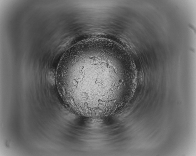 X0000091200719200708161614