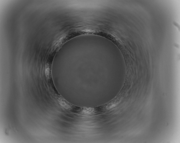 X0000091200720200708161614