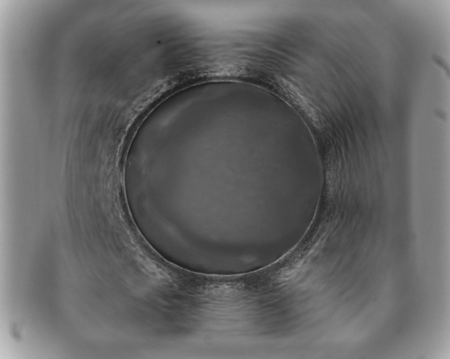 X0000091200721200708161613