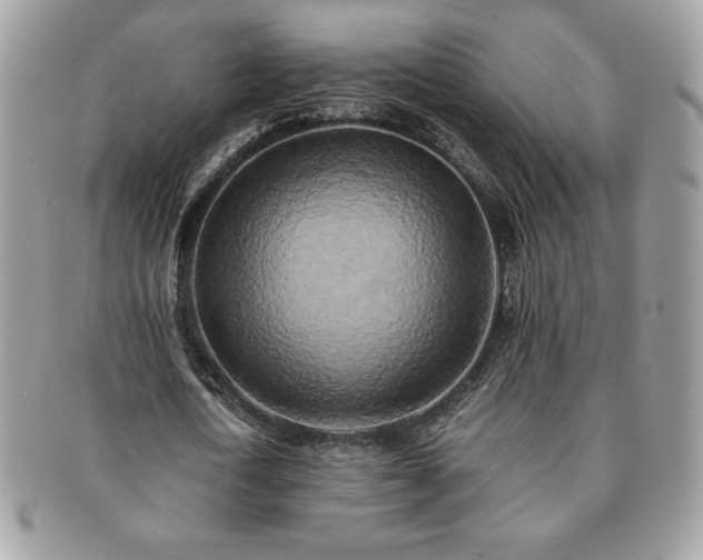 X0000091200722200708161613