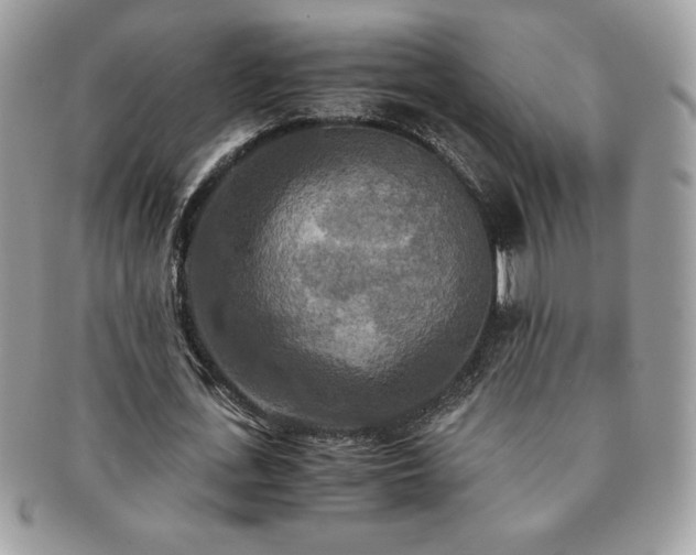 X0000091200723200708161613