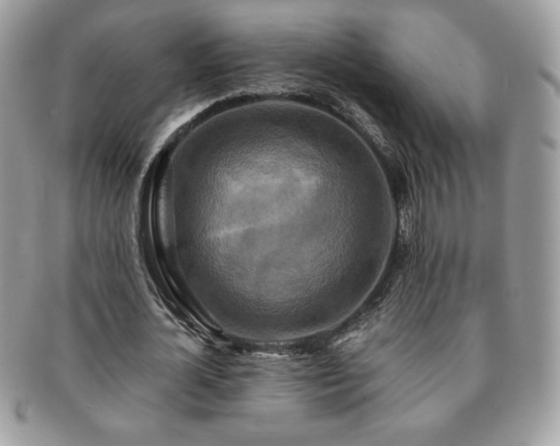 X0000091200724200708161613