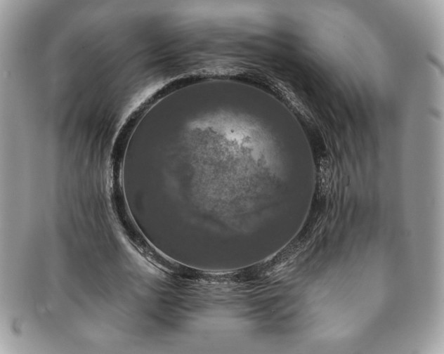 X0000091200726200708161613