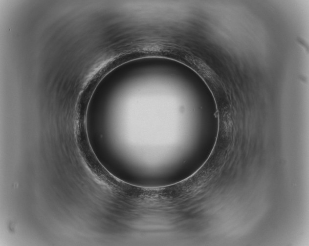 X0000091200728200708161613