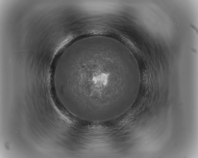X0000091200730200708161613