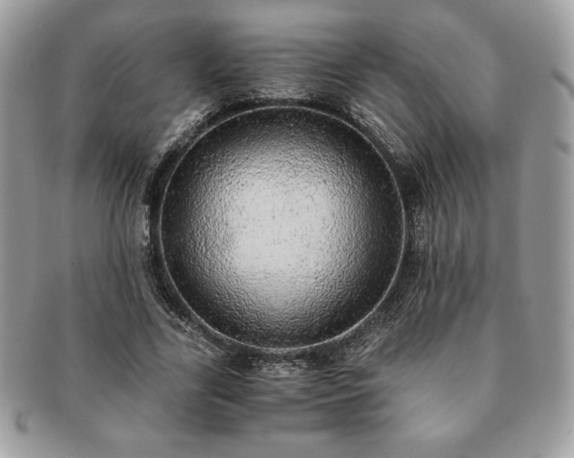 X0000091200731200708161613