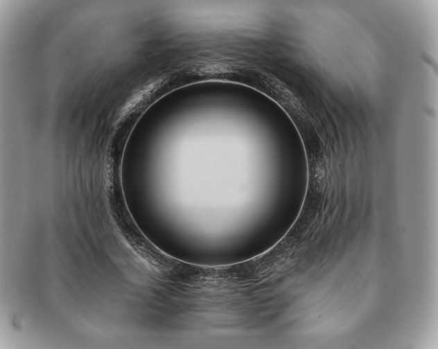 X0000091200732200708161613