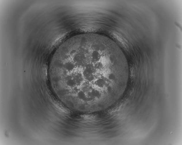 X0000091200733200708161613