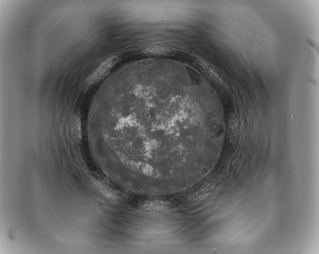 X0000091200734200708161613