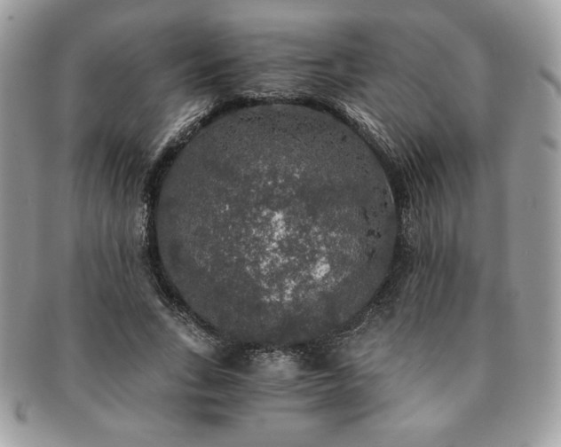 X0000091200735200708161613