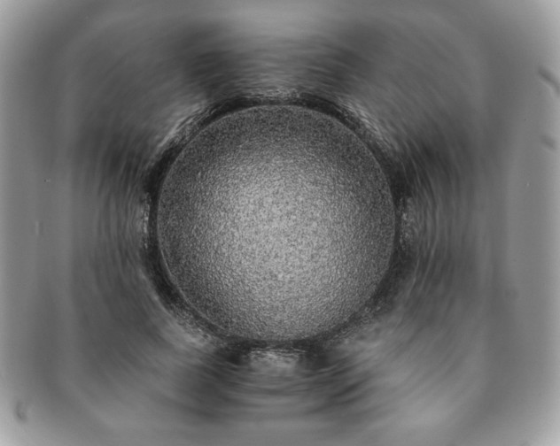 X0000091200739200708161614
