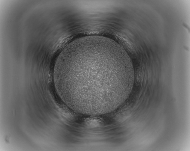 X0000091200743200708161614