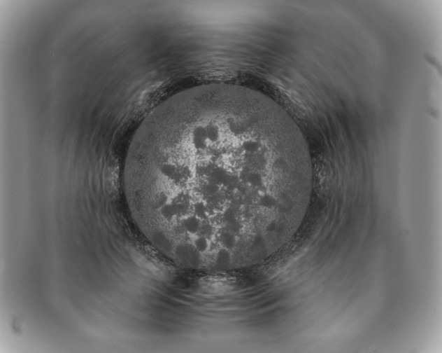 X0000091200745200708161614