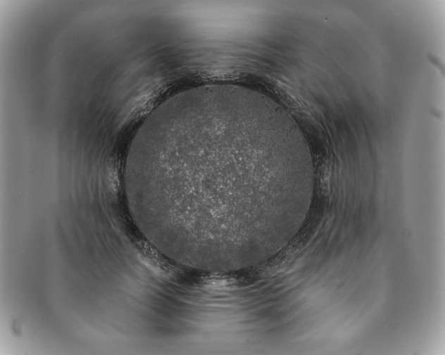 X0000091200746200708161614
