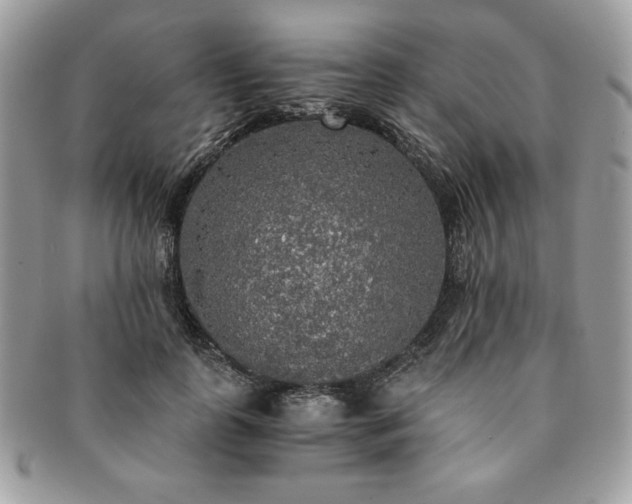 X0000091200747200708161614