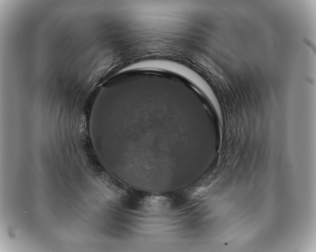 X0000091200748200708161614