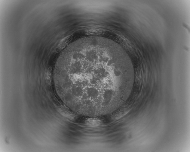 X0000091200749200708161614