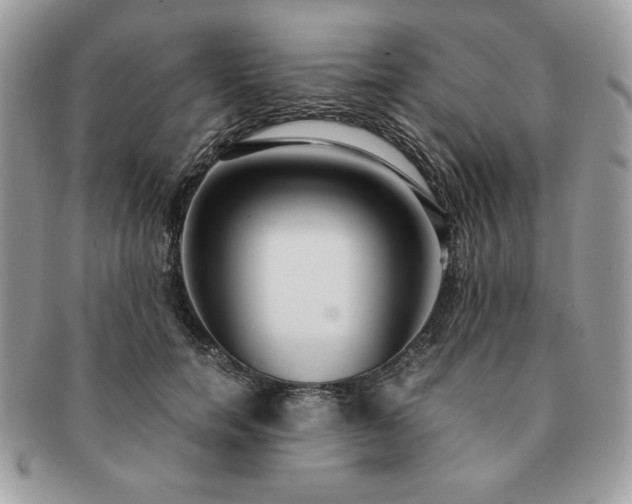 X0000091200750200708161614