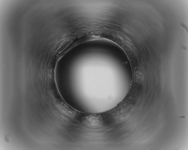 X0000091200756200708161614