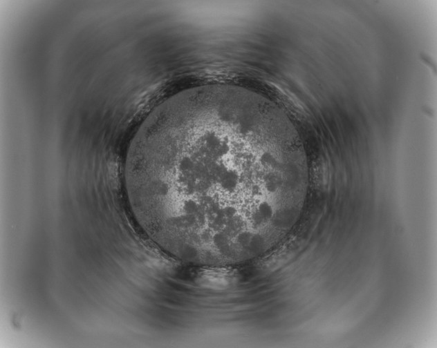 X0000091200757200708161614