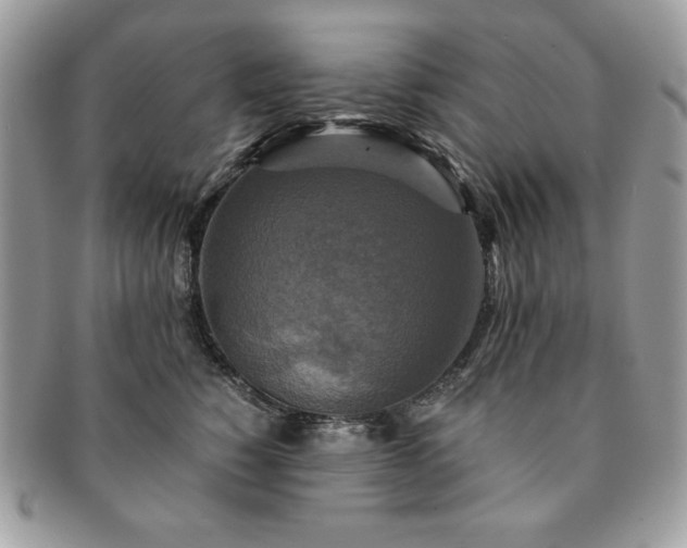 X0000091200760200708161614