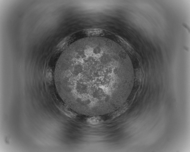 X0000091200761200708161614