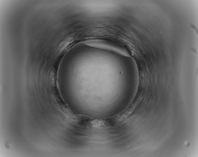 X0000091200762200708161614
