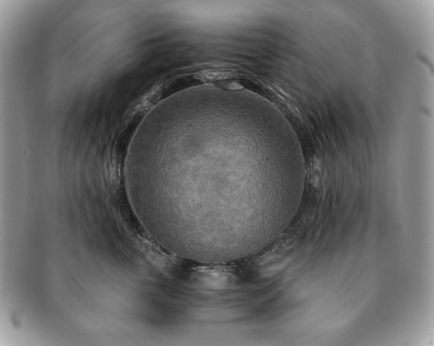 X0000091200763200708161614