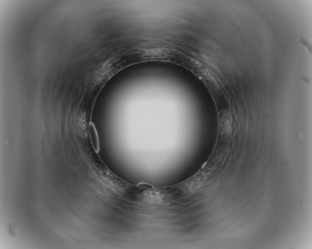 X0000091200764200708161614